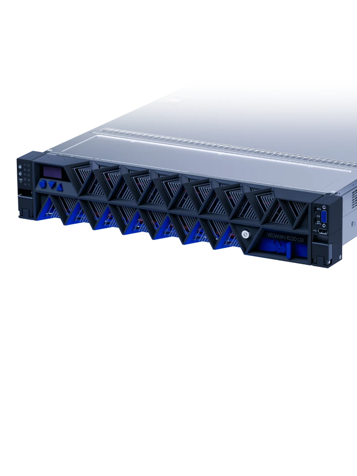 Сервер VEGMAN R220 G3